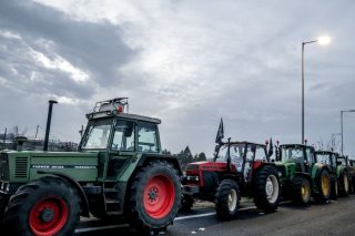agrotes bloka